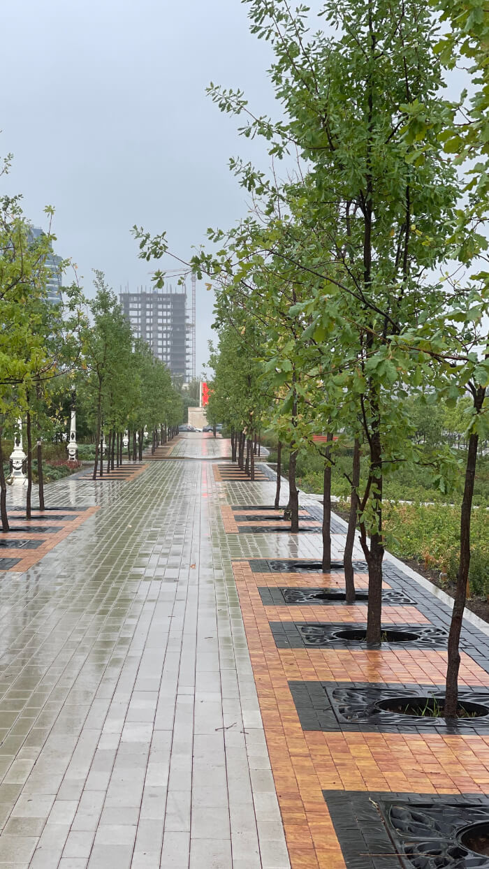 Приствольная решетка для дерева ZKING CRUST 1.2х1.2м Черная в Соликамске фото