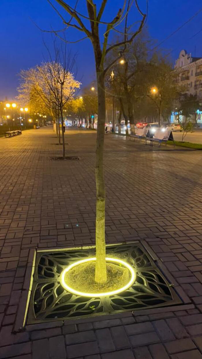 Приствольная решетка для дерева ZKING CRUST 1.2х1.2м Черная в Соликамске фото